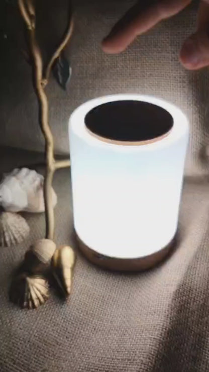 Colour Changing Bedside Light (2 lights)